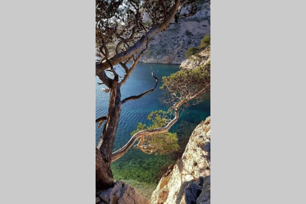 Suite Sur La Mer Marseille Corniche Kültér fotó